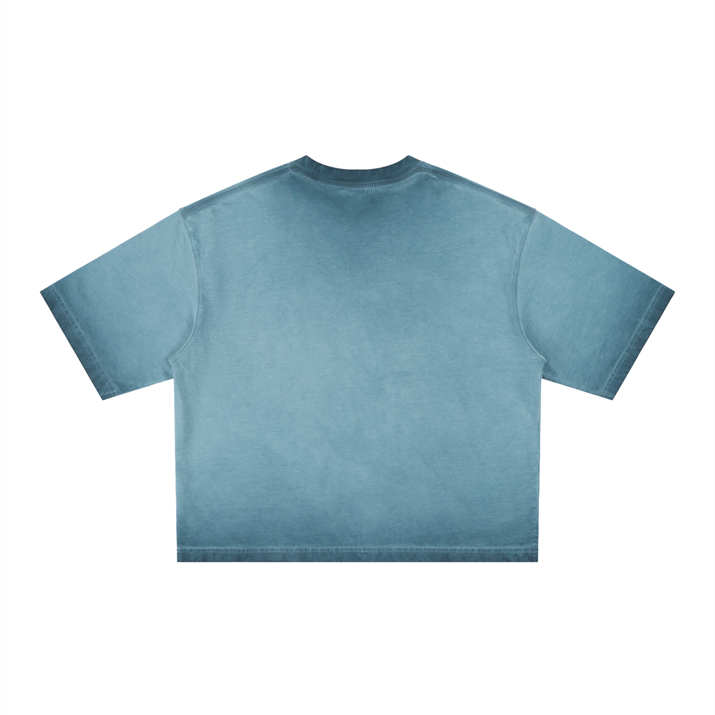 FIELD RESEARCH 004 — Flamingo