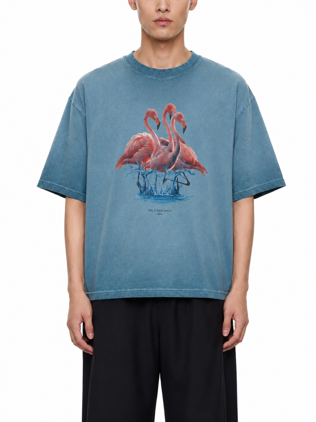 FIELD RESEARCH 004 — Flamingo