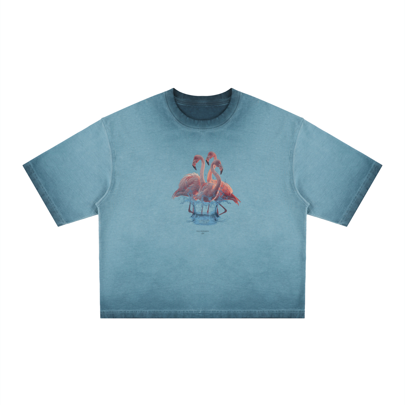 FIELD RESEARCH 004 — Flamingo